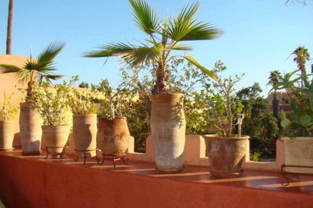 Вилла Emplacement N°1 ! Riad Ica Марракеш Экстерьер фото