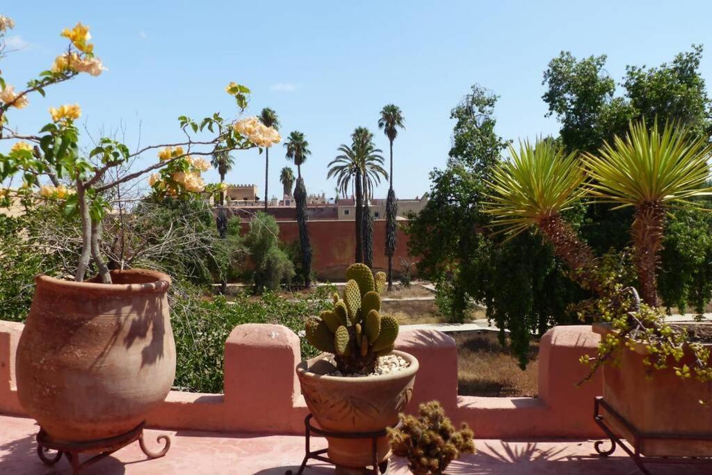 Вилла Emplacement N°1 ! Riad Ica Марракеш Экстерьер фото